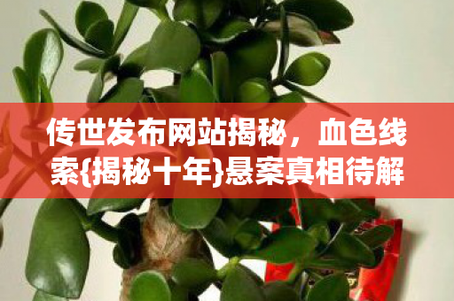 传世发布网站揭秘图片