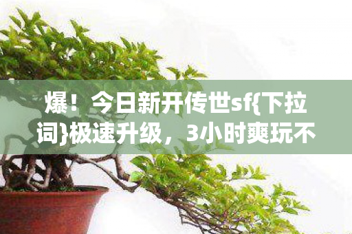 今日新开传世sf图片