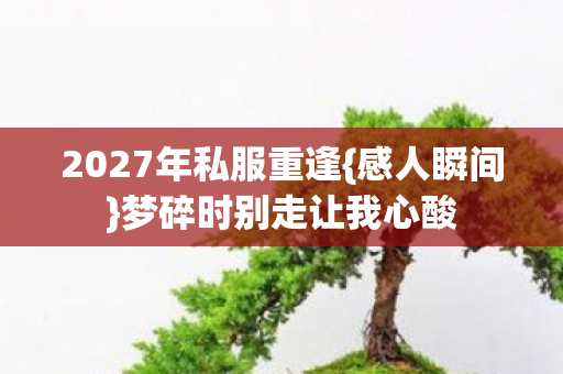 2027年私服重逢图片