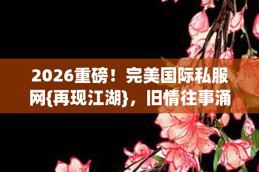 完美国际私服网图片