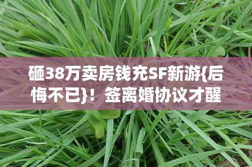 砸38万卖房钱充SF新游图片