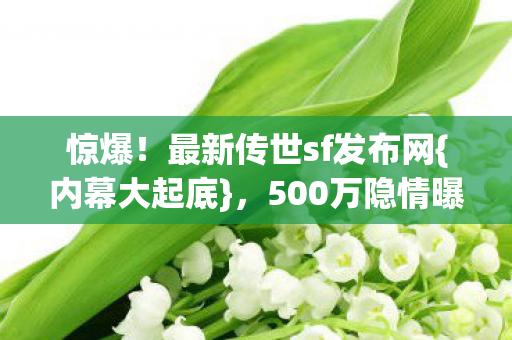 惊爆!最新传世sf发布网{内幕大起底},500万隐情曝光 惊爆!最新传世sf发布网{内幕大起底},500万隐情曝光