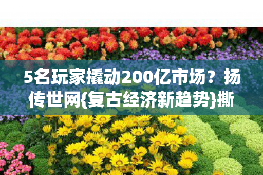 5名玩家撬动200亿市场?扬传世网{复古经济新趋势}撕新裂缝 5名玩家撬动200亿市场?扬传世网{复古经济新趋势}撕新裂缝