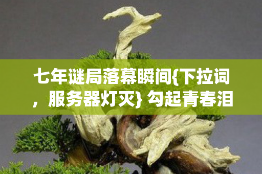 七年谜局落幕瞬间图片