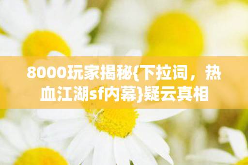 8000玩家揭秘图片