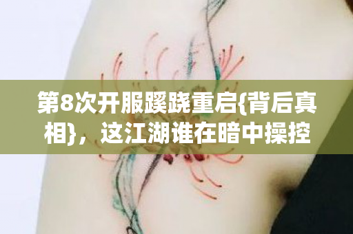 第8次开服蹊跷重启图片