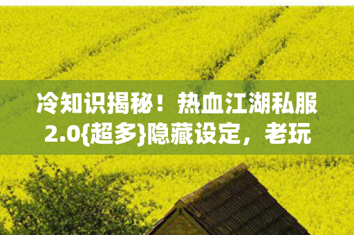 热血江湖私服2图片