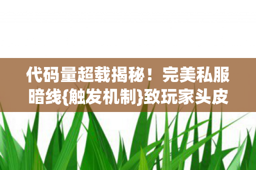 代码量超载揭秘图片