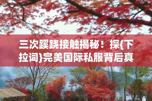 完美国际私服背后真相图片