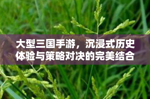 大型三国手游,沉浸式历史体验与策略对决的完美结合,沉浸式历史体验与策略对决,大型三国手游的完美融合 大型三国手游,沉浸式历史体验与策略对决的完美结合,沉浸式历史体验与策略对决,大型三国手游的完美融合