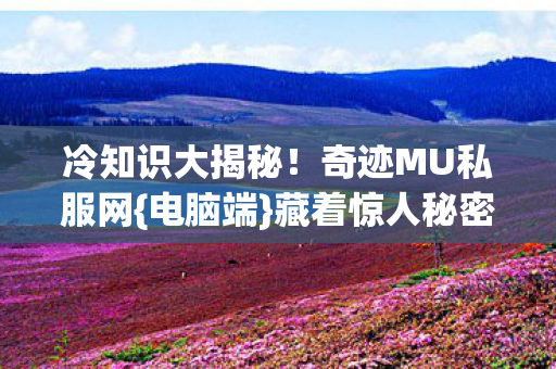 奇迹MU私服网图片