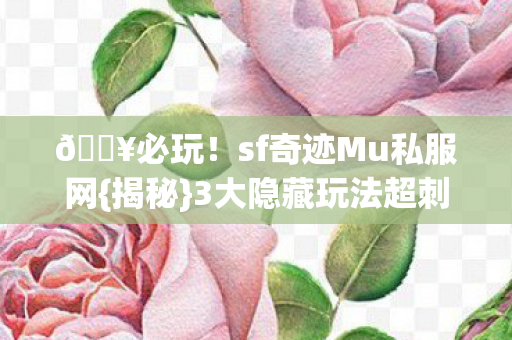 sf奇迹Mu私服网图片