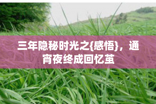 通宵夜终成回忆茧图片