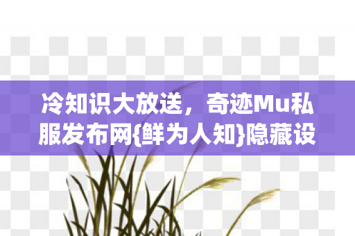 奇迹Mu私服发布网图片