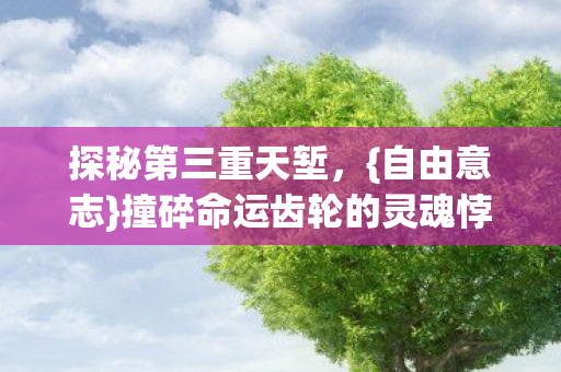 撞碎命运齿轮的灵魂悖论图片