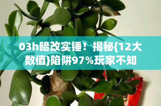 03h暗改实锤图片