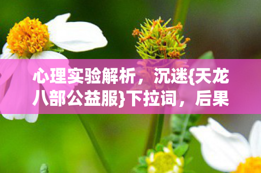 心理实验解析，沉迷{天龙八部公益服}下拉词，后果细思极恐