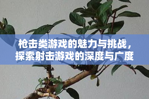 枪击类游戏的魅力与挑战,探索射击游戏的深度与广度,枪击类游戏的魅力与挑战,探索射击游戏的深度与广度 枪击类游戏的魅力与挑战,探索射击游戏的深度与广度,枪击类游戏的魅力与挑战,探索射击游戏的深度与广度