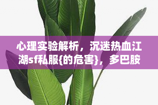 沉迷热血江湖sf私服图片