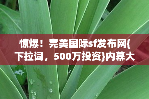 完美国际sf发布网图片