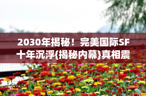 完美国际SF十年沉浮图片