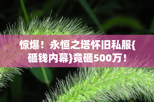 永恒之塔怀旧私服图片