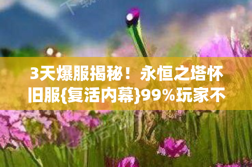 永恒之塔怀旧服图片