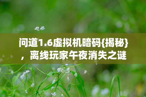 问道1.6虚拟机暗码{揭秘},离线玩家午夜消失之谜 问道1.6虚拟机暗码{揭秘},离线玩家午夜消失之谜