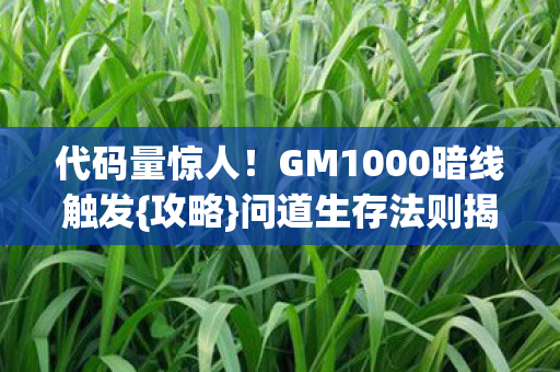 代码量惊人！GM1000暗线触发{攻略}问道生存法则揭秘