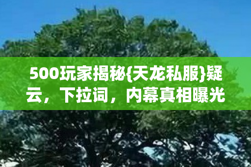 500玩家揭秘图片