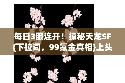 每日3服连开图片