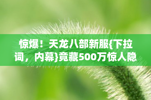 惊爆！天龙八部新服{下拉词，内幕}竟藏500万惊人隐情！