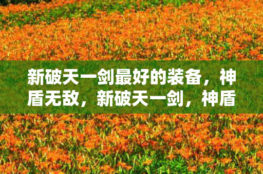 新破天一剑最好的装备，神盾无敌，新破天一剑，神盾无敌，打造最强装备！