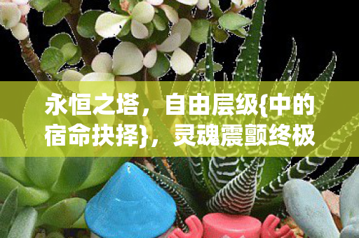 灵魂震颤终极之选图片