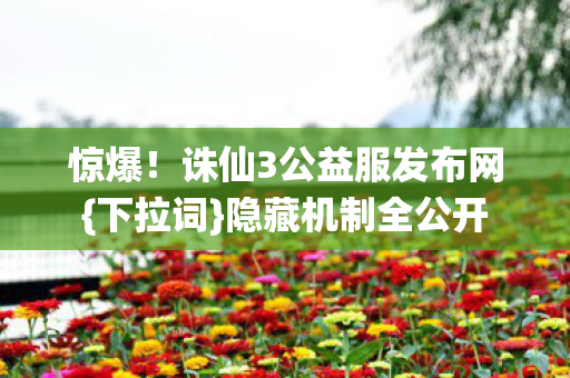 诛仙3公益服发布网图片