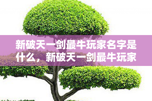 新破天一剑最牛玩家名字是什么,新破天一剑最牛玩家名字揭晓 新破天一剑最牛玩家名字是什么,新破天一剑最牛玩家名字揭晓