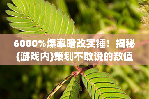 策划不敢说的数值黑幕图片