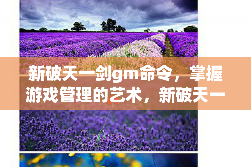 新破天一剑gm命令，掌握游戏管理的艺术，新破天一剑GM命令，揭秘游戏管理的艺术之道