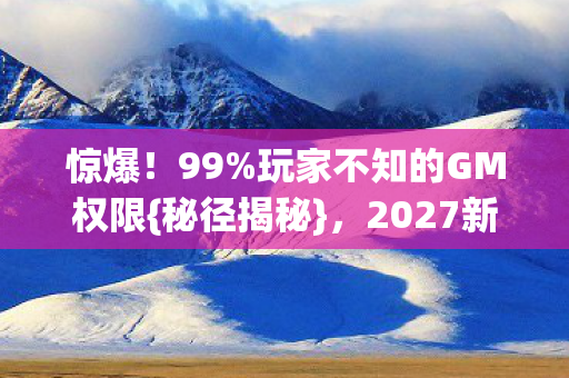 惊爆！99%玩家不知的GM权限{秘径揭秘}，2027新玩法