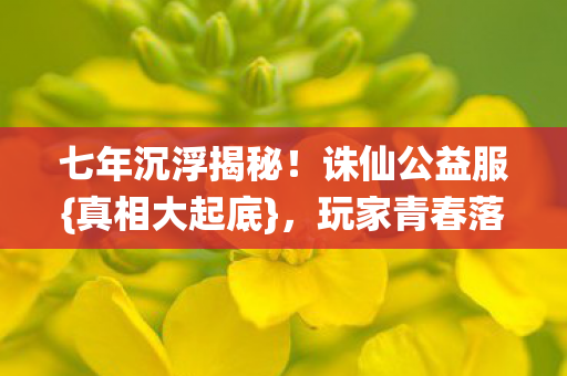 七年沉浮揭秘图片