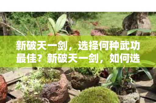 新破天一剑，选择何种武功最佳？新破天一剑，如何选择最佳武功？