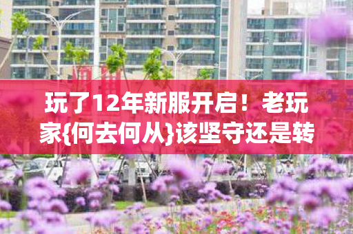 玩了12年新服开启图片