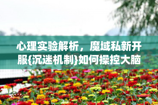 心理实验解析图片