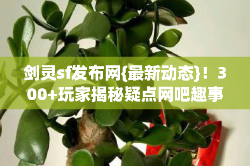 玩家揭秘疑点网吧趣事多图片