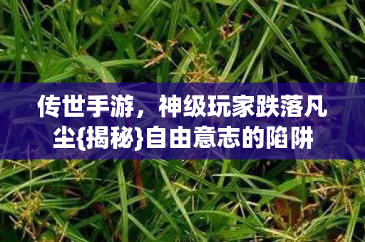 传世手游,神级玩家跌落凡尘{揭秘}自由意志的陷阱 传世手游,神级玩家跌落凡尘{揭秘}自由意志的陷阱