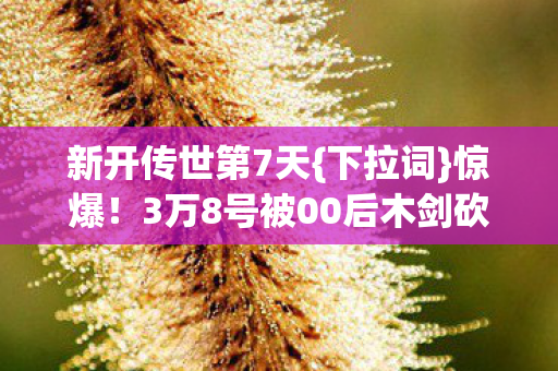 新开传世第7天{下拉词}惊爆！3万8号被00后木剑砍崩