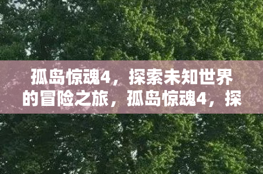 孤岛惊魂4,探索未知世界的冒险之旅,孤岛惊魂4,探索未知世界的惊险冒险之旅 孤岛惊魂4,探索未知世界的冒险之旅,孤岛惊魂4,探索未知世界的惊险冒险之旅