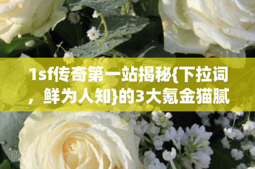 1sf传奇第一站揭秘图片