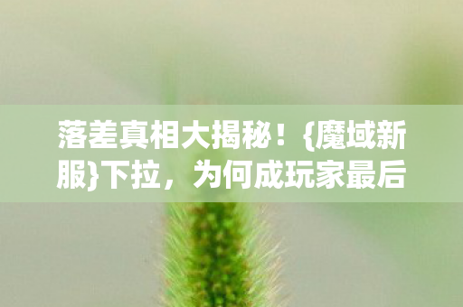 为何成玩家最后避风港图片