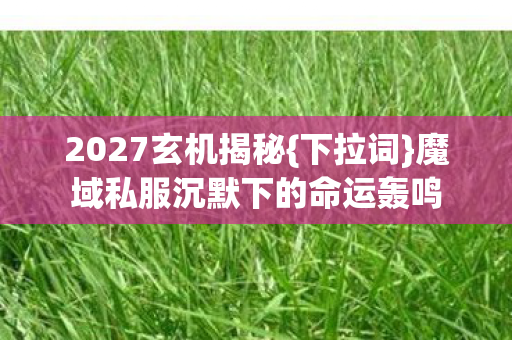 魔域私服沉默下的命运轰鸣图片